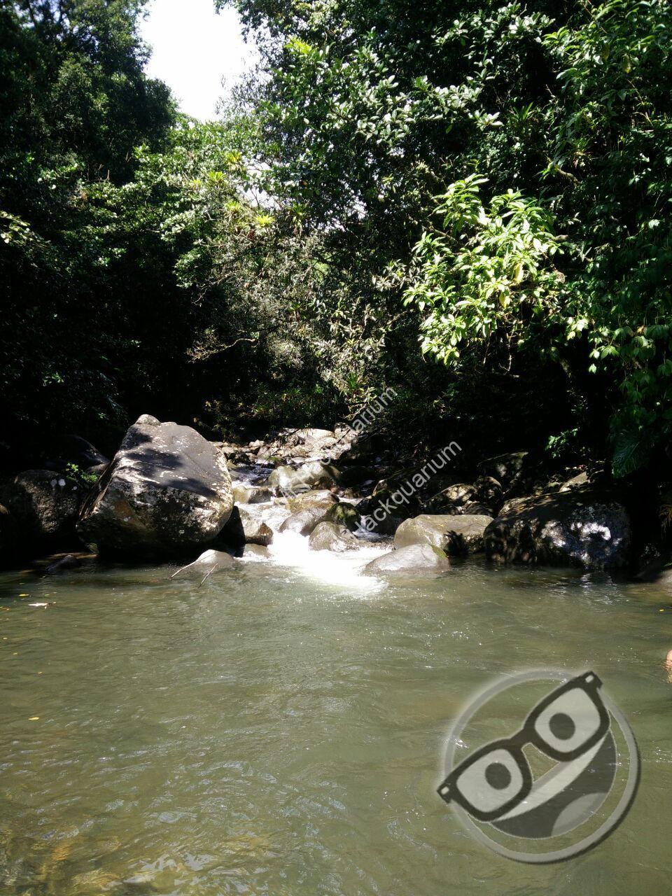 lariviere Mr Hackquarium