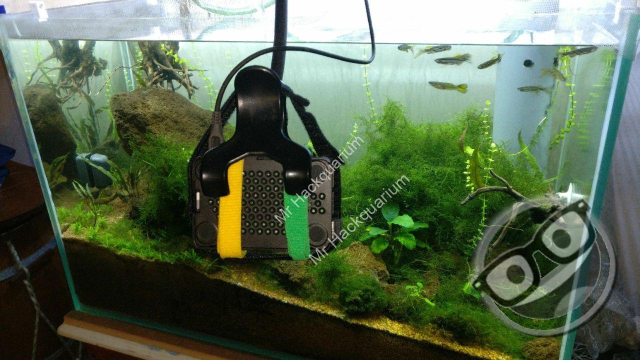 RLIEH Camera sur le bac Matouba