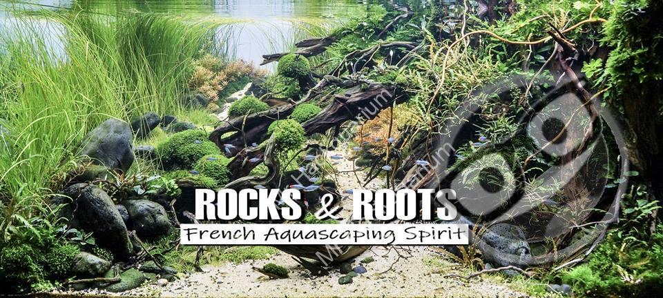 Rocks & Roots French Aquascaping Spirit